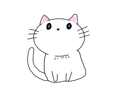猫（白色）
