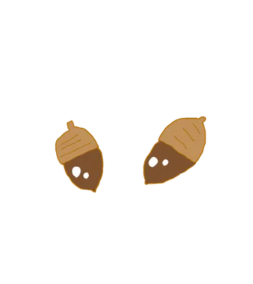二つのどんぐり