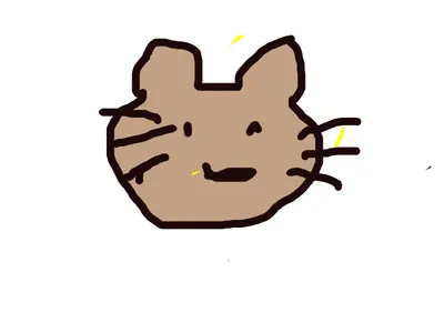 猫の顔
