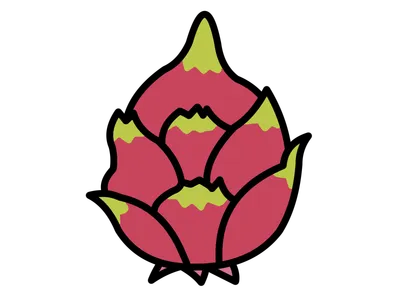 ドラゴンフルーツ（デザイン）