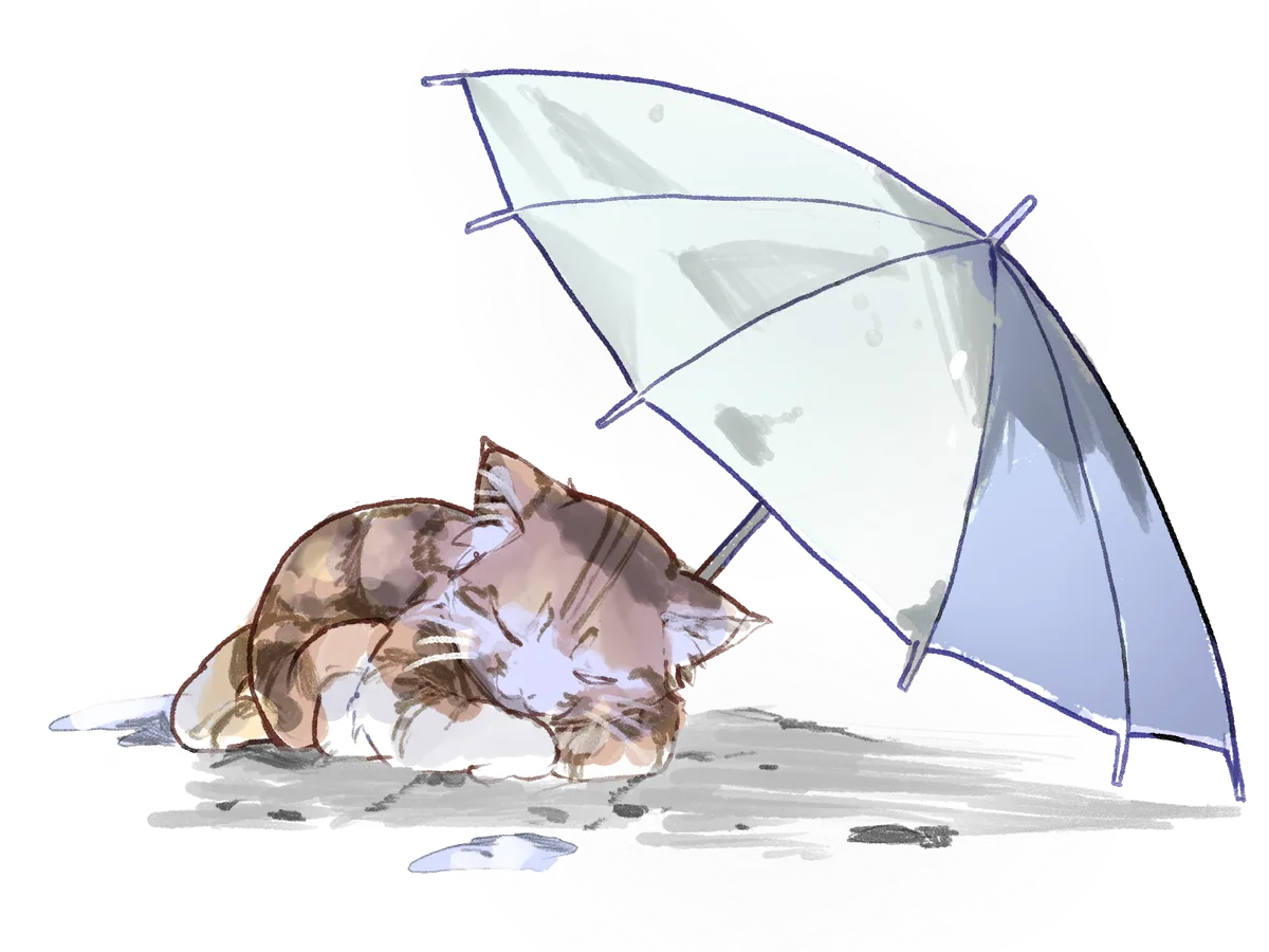 雨宿りする猫
