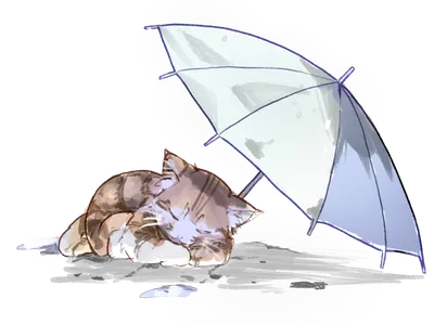 雨宿りする猫