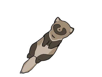 たぬき