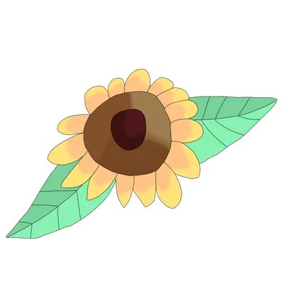 ひまわり（2番）