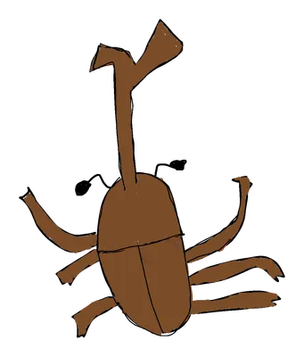 カブトムシ
