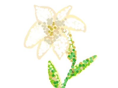 白い花（点描）
