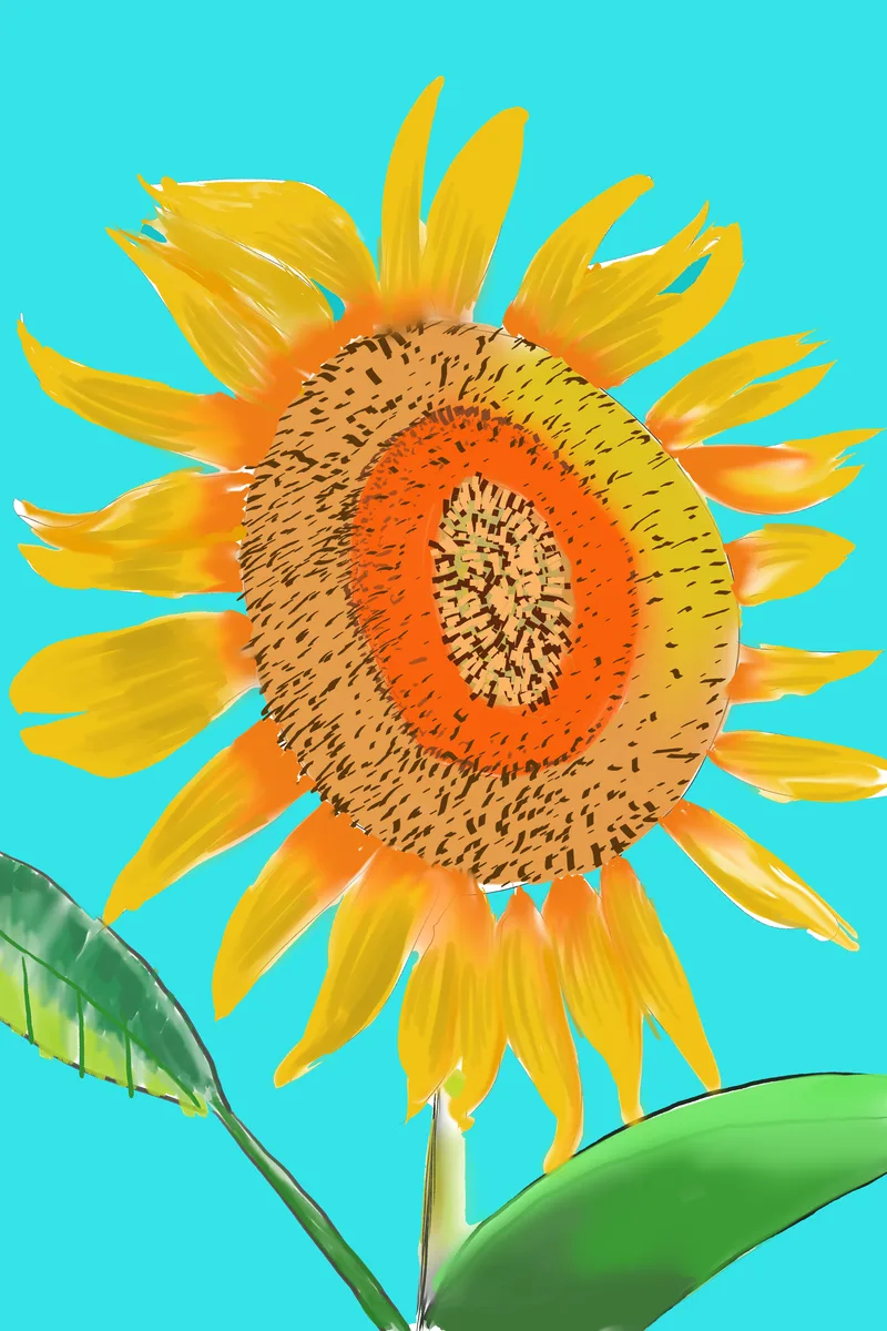 ひまわり