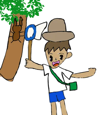 木で虫取りする少年