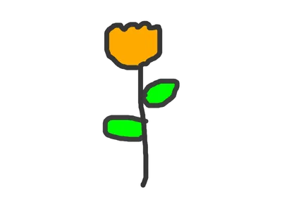 オレンジの花