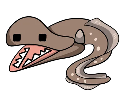 フクロウウナギ