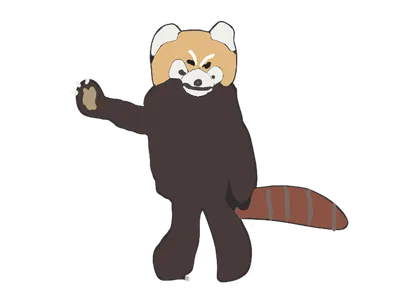 レッサーパンダ