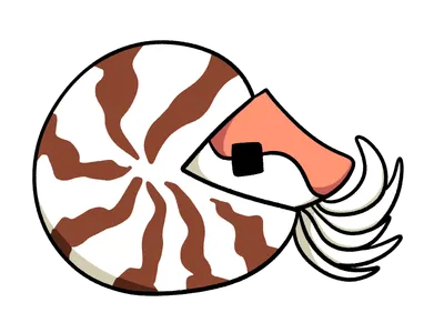 オウムガイ