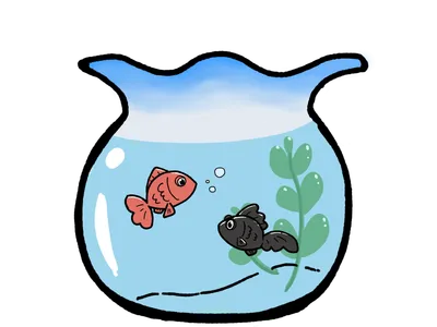 金魚鉢