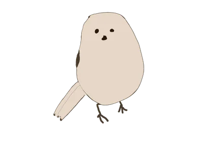 シマエナガ