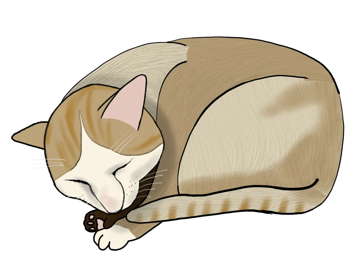 眠っている猫