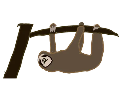 ナマケモノ