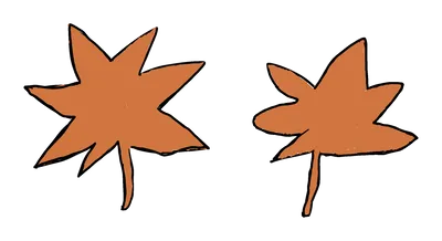 紅葉した2枚のもみじ