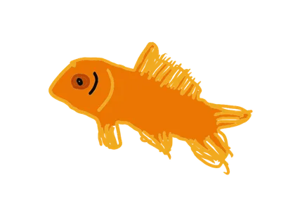 金魚
