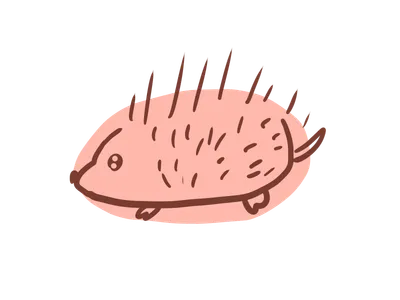 ハリネズミ