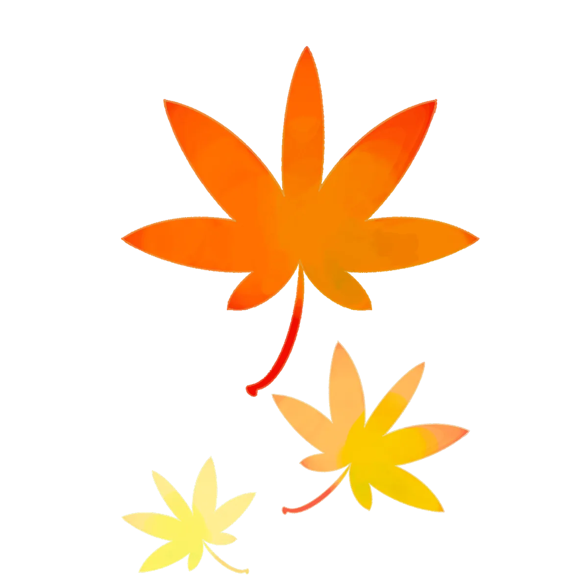 3枚のもみじ