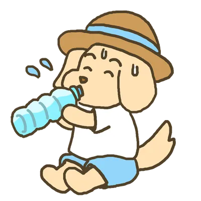 水分補給の犬