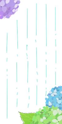 紫陽花（雨の日）