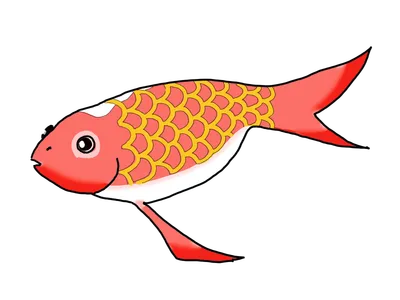 金魚