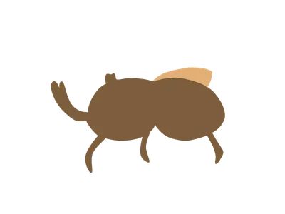 カブトムシ