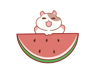 スイカを食べるハムスター