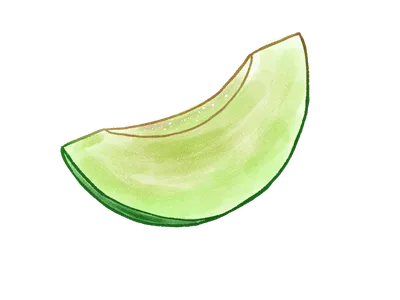 メロン