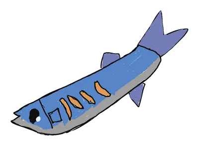 青い小魚
