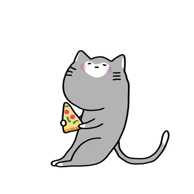 ピザを食べるグレーの猫