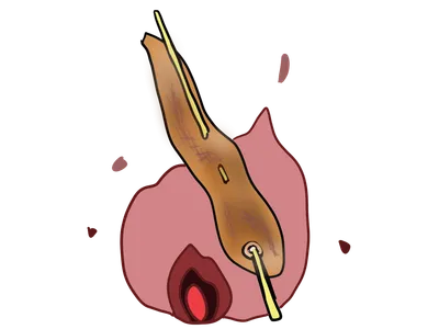 焼いためざし