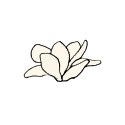 白い八重花