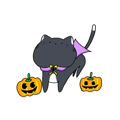 かぼちゃと黒猫のハロウィン