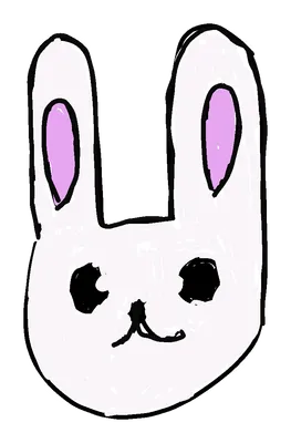 白いうさぎの顔