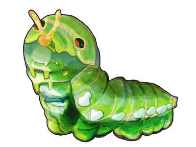 アゲハチョウの幼虫