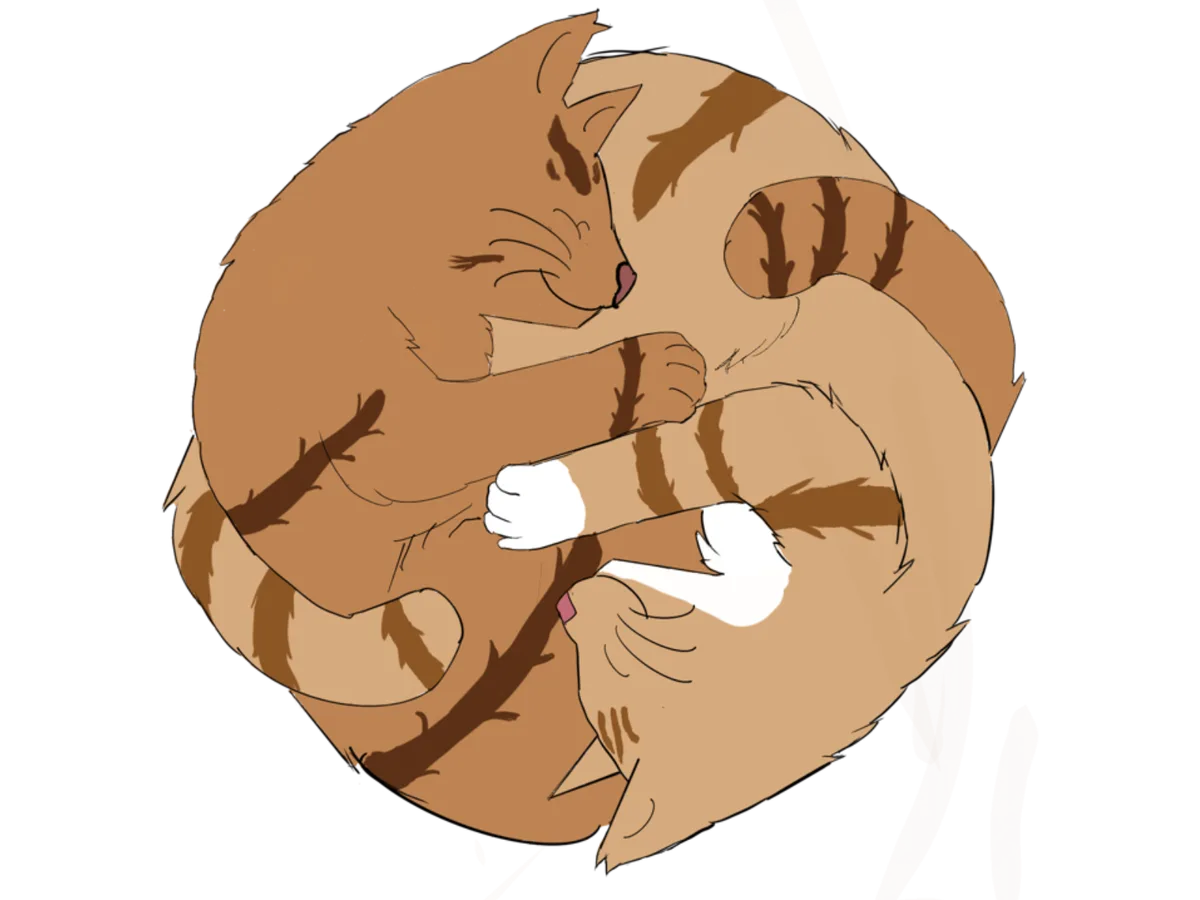 癒しの猫