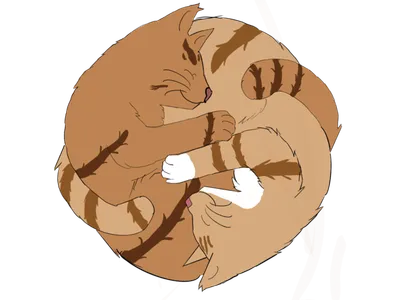 癒しの猫