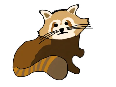 レッサーパンダ