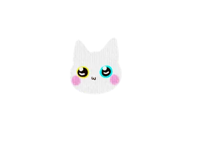 白猫の顔（水色の目）