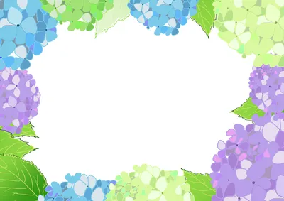紫陽花