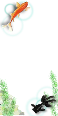 金魚（黒）