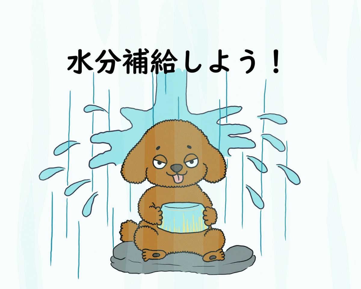 水分補給する犬