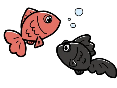 金魚（赤と黒）